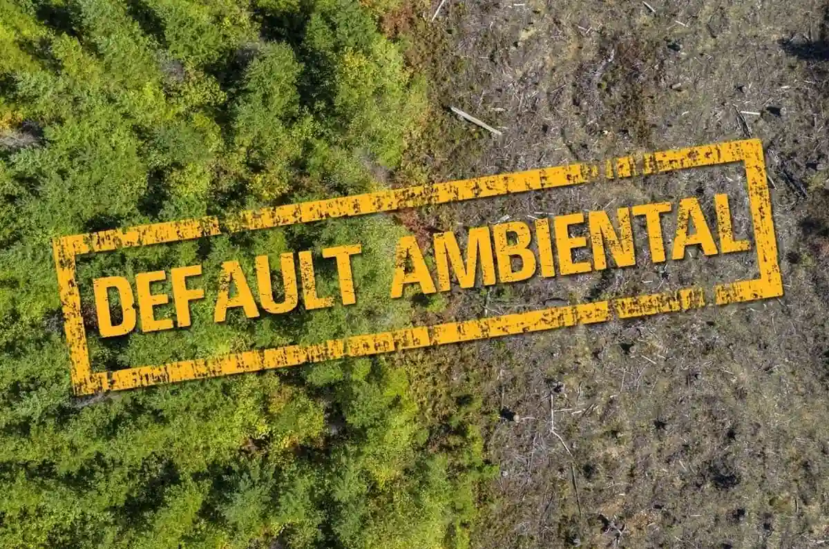 default ambiental ecologia