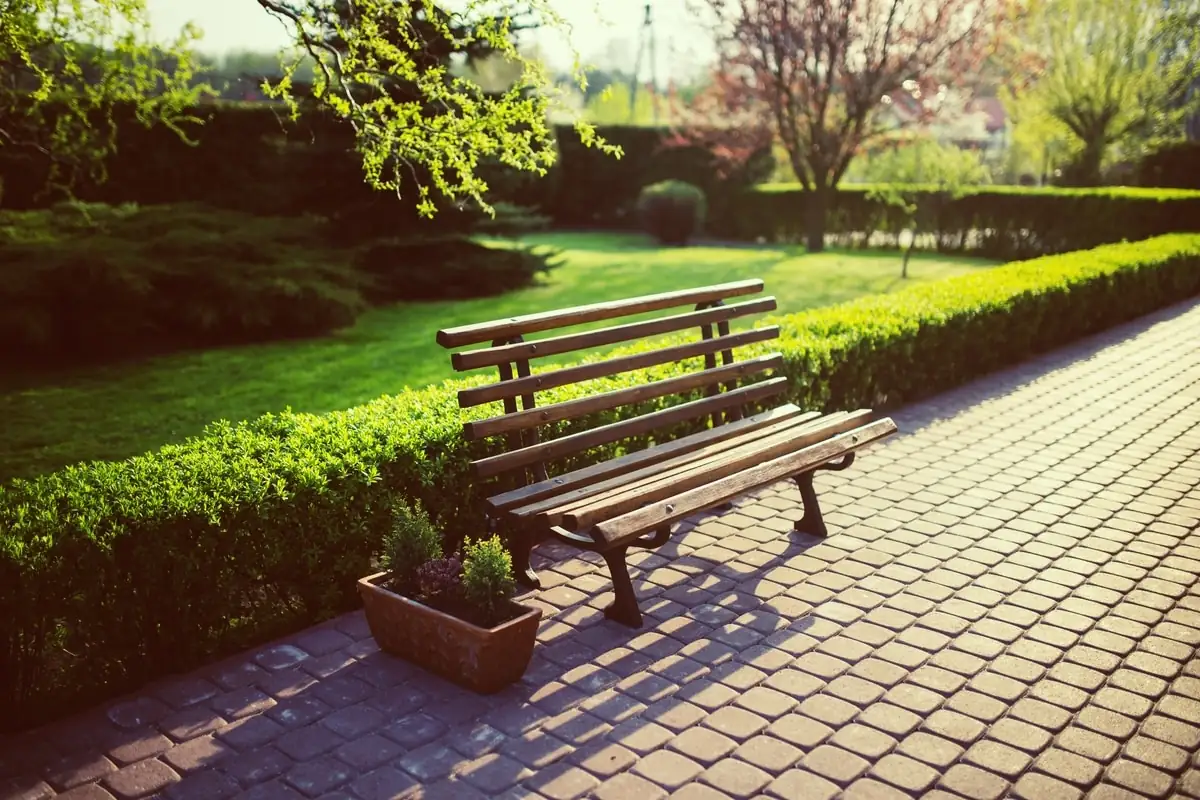 Seto de arbustos para delimitar espacios exteriores seto de arbustos verdes junto a banco de madera en parque urbano
