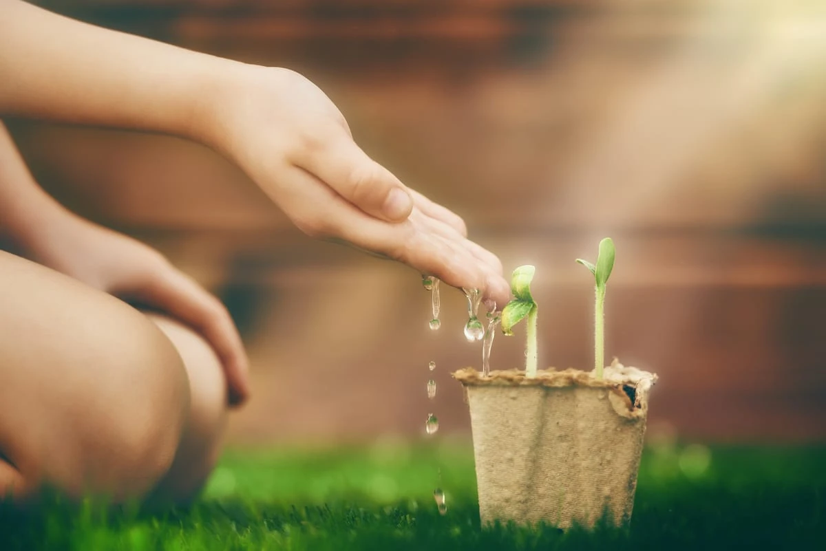 El equinoccio de primavera 2022
