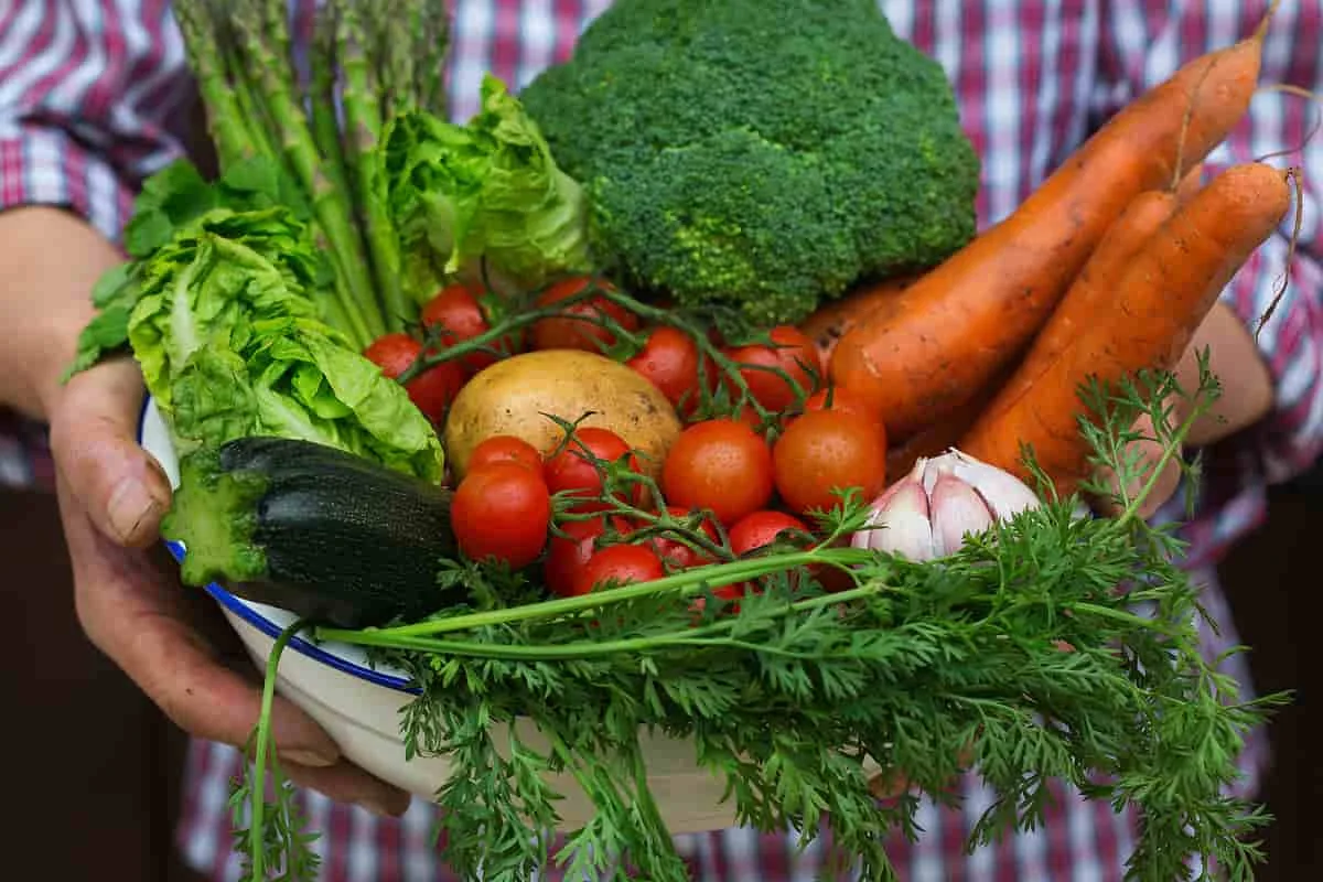 Persona sosteniendo un bowl lleno de verduras frescas como zanahorias, tomates cherry, lechuga, brócoli, calabacín, papa y ajo recién cosechados.
