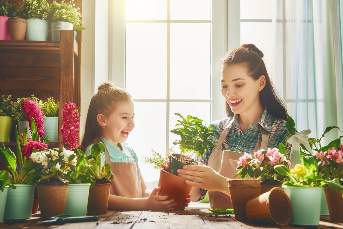 plantas de jardin con flores