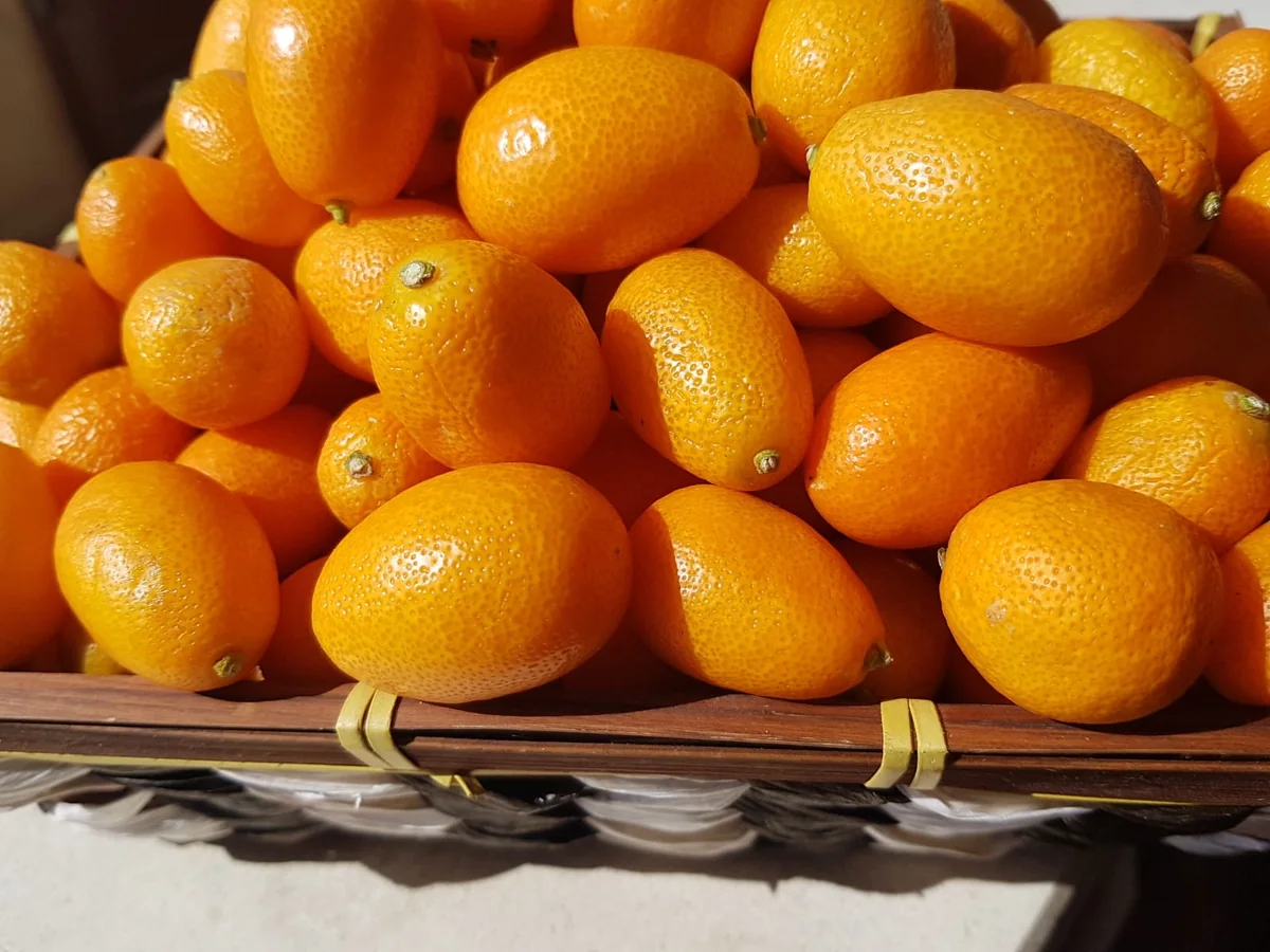 dulce de kinotos