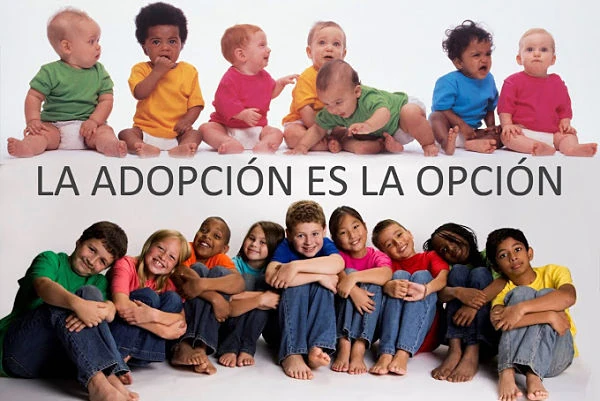 La adopción es la opción