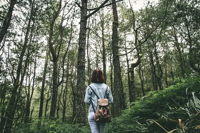 arboles