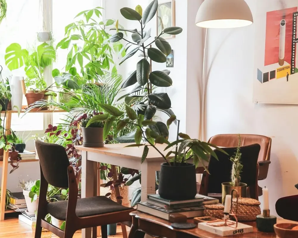 Biofilia decoración