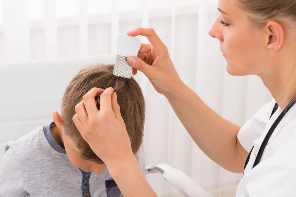 como eliminar los piojos para siempre