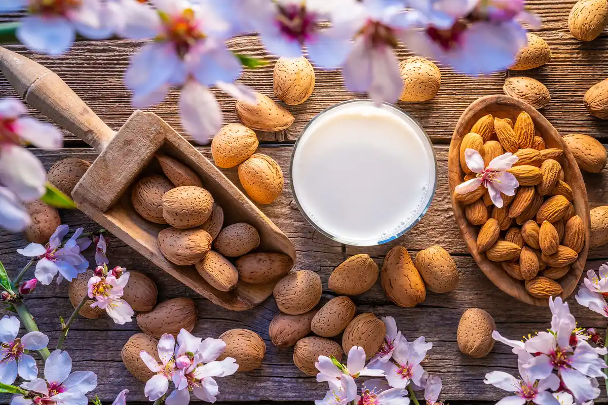 propiedades de las almendras
