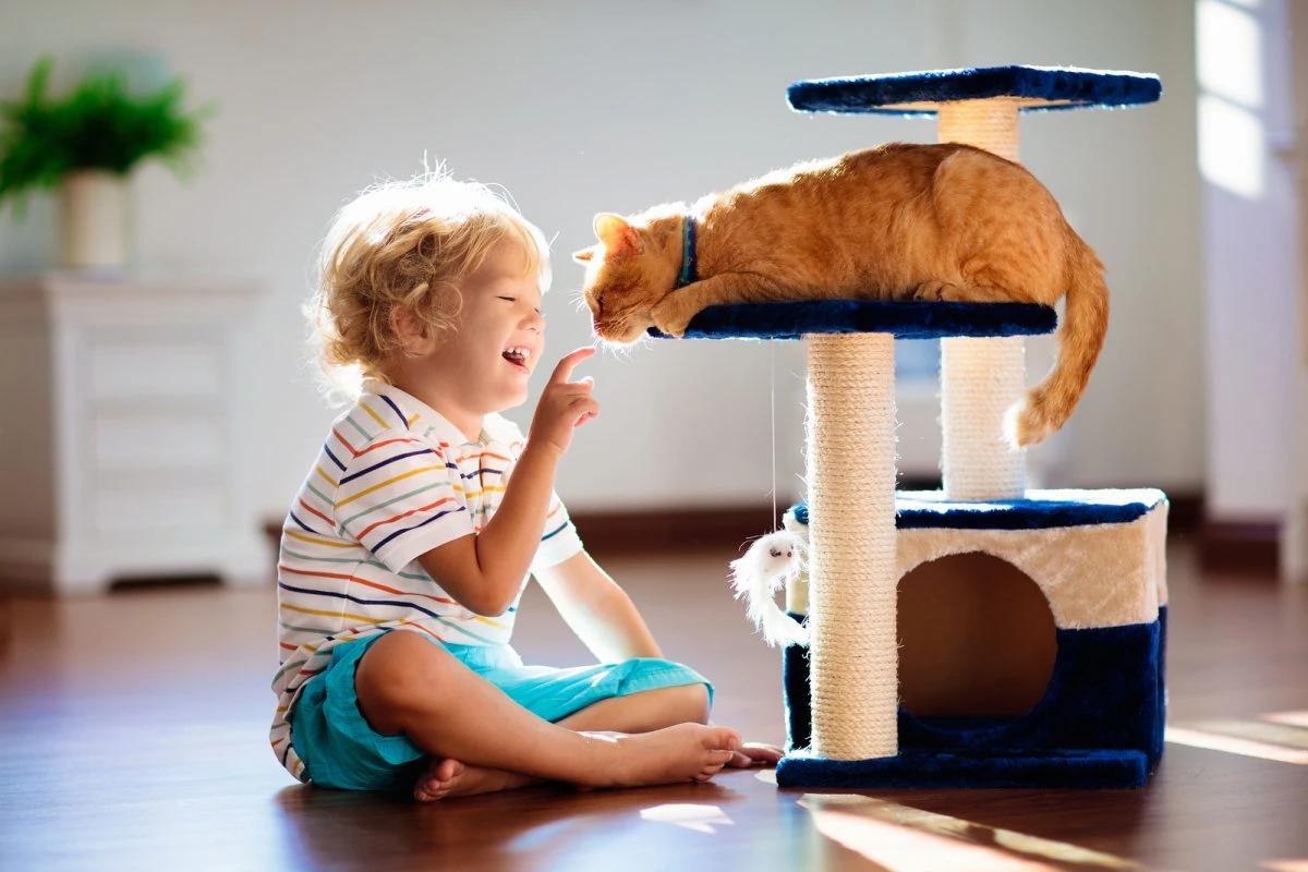 gatos coronavirus