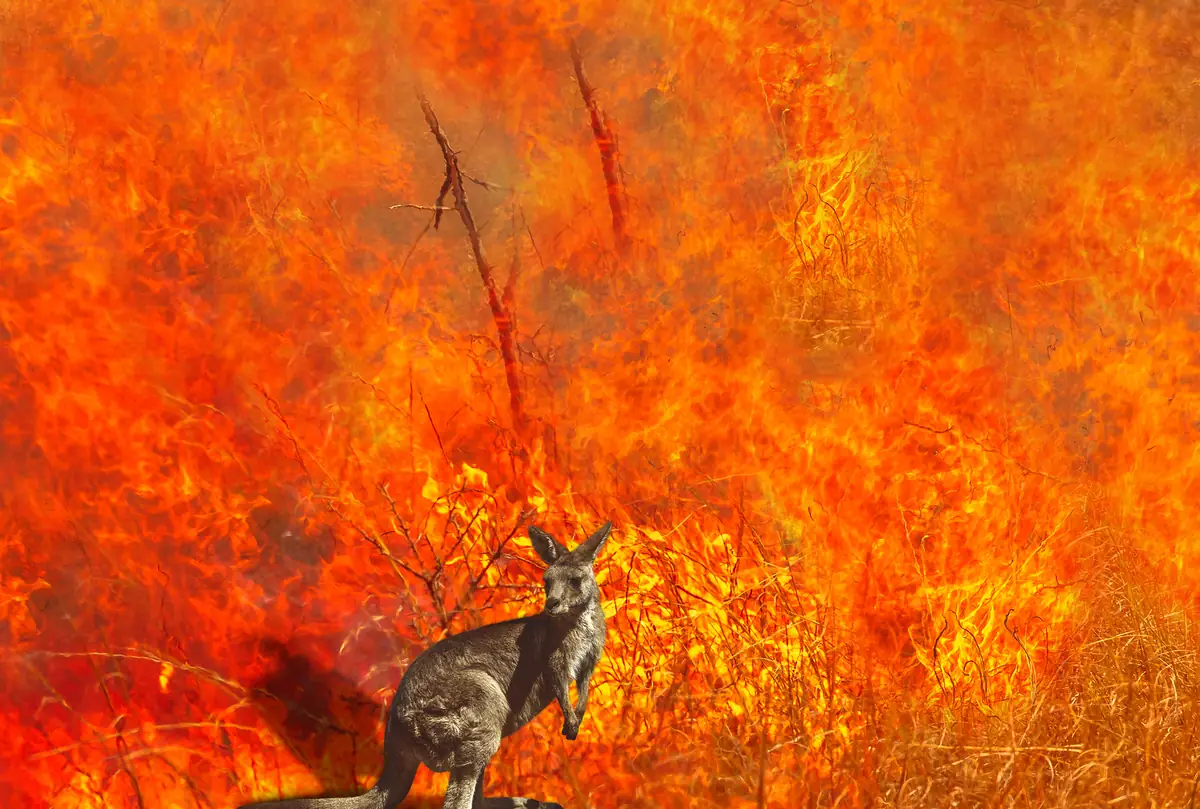 incendio australia