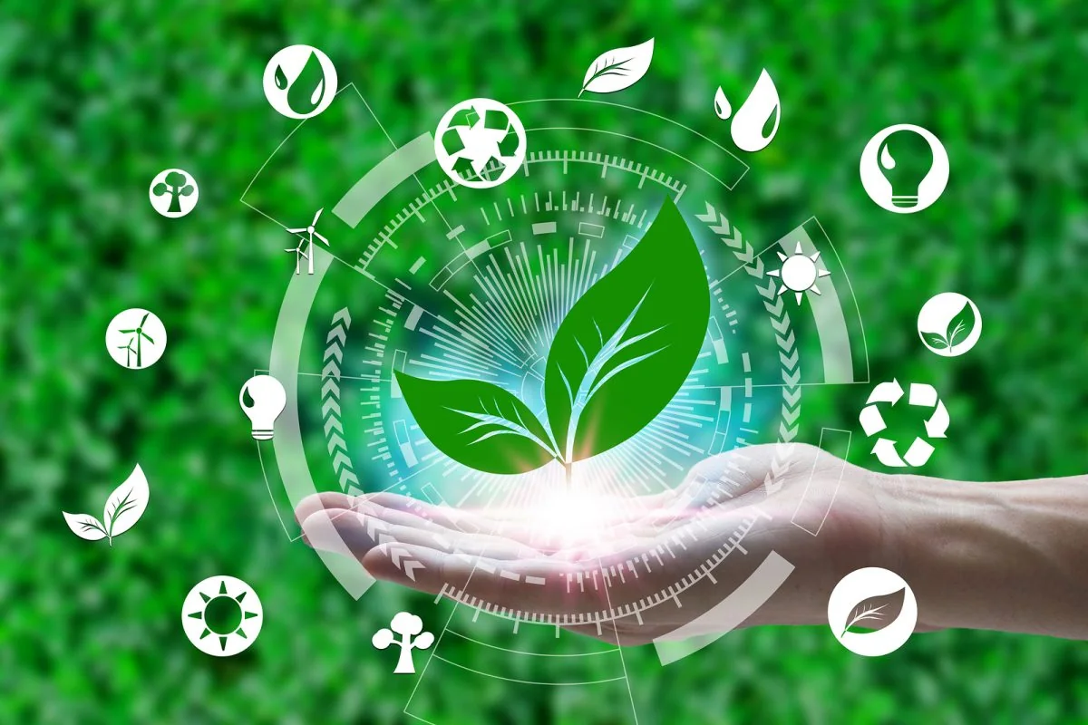 cuidar el planeta reciclar