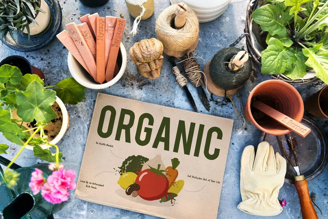 5 plantas comestibles
