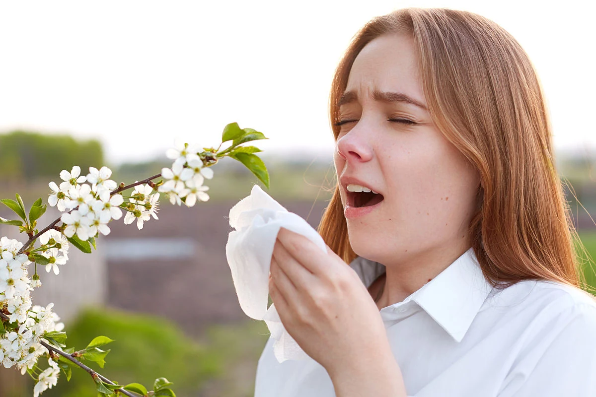 Síntomas de la alergia a los ácaros Mujer sufriendo un ataque de estornudos, uno de los principales síntomas de la alergia a los ácaros del polvo que afecta las vías respiratorias.