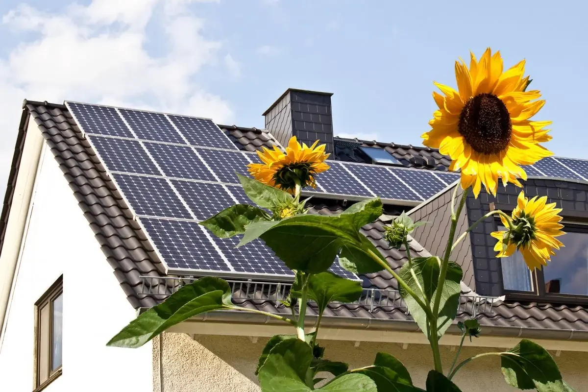 Casa con paneles solares en el techo y girasoles al frente bajo el sol, símbolo de energía renovable.