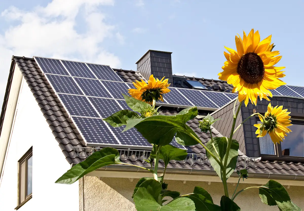 Cómo funcionan los paneles solares