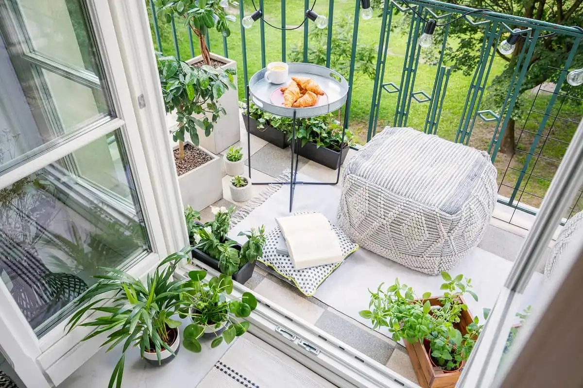 decoración de interiores con plantas