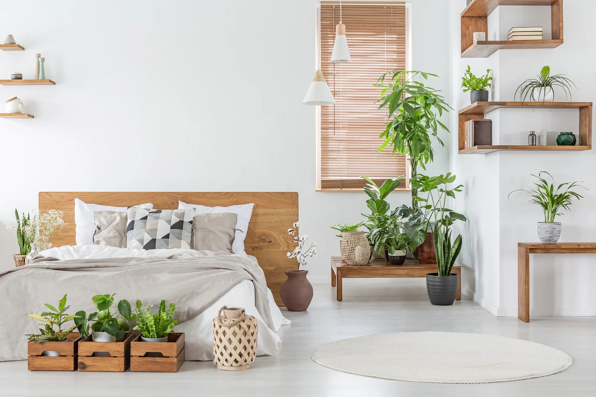 decoracion de interiores con plantas