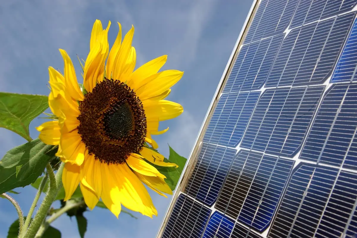 Energía solar 2026: una fuente renovable que impulsa el futuro sostenible. Girasol junto a un panel solar bajo el sol, símbolo de energía limpia y sostenible.