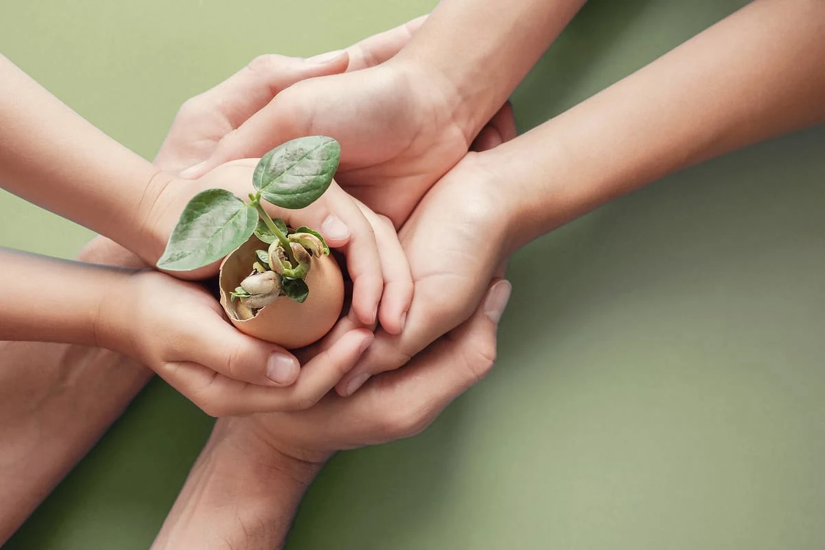 medio ambiente ecologia