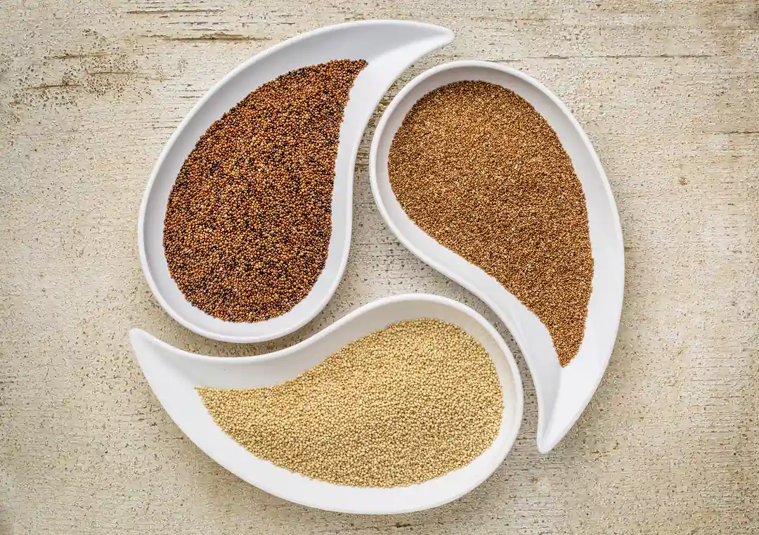 granos y cereales sin gluten