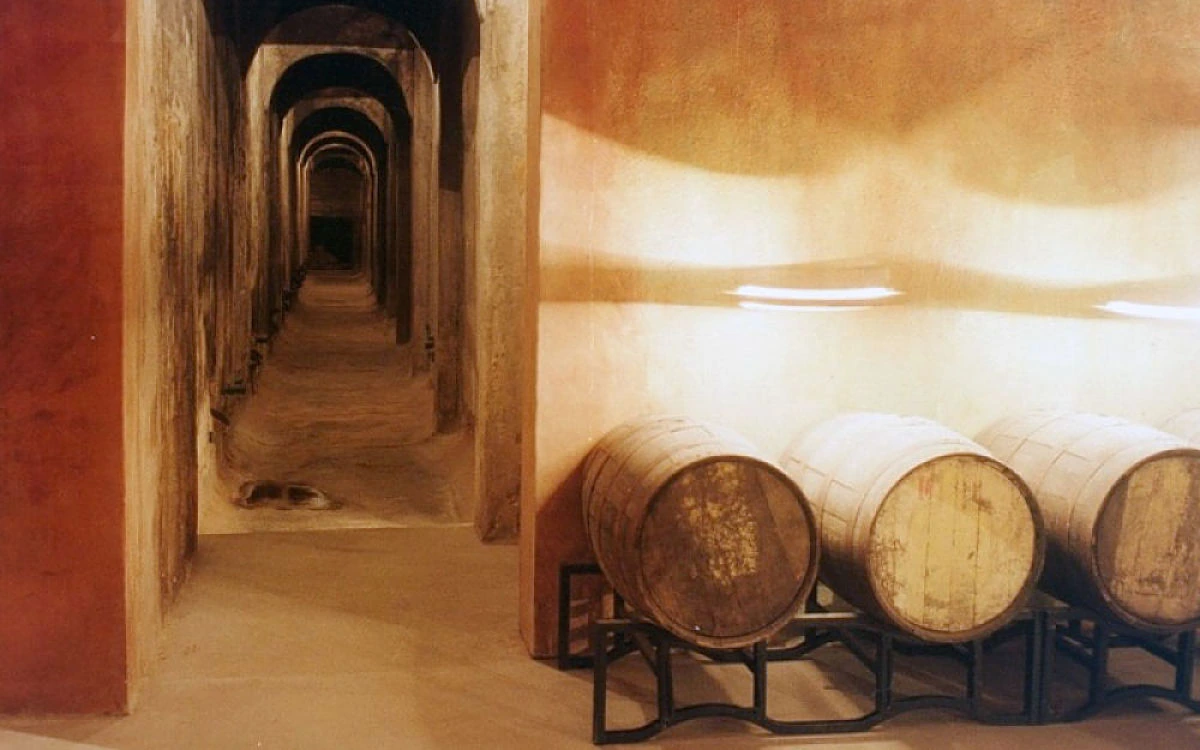 Barricas de roble en bodega subterránea para crianza y reserva de vino tinto