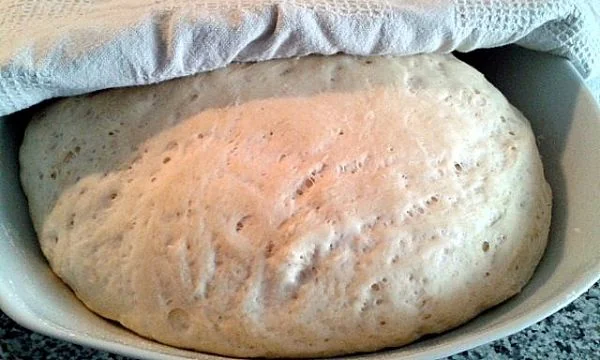 recetas con levadura