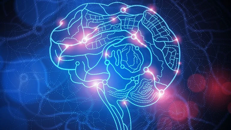 cerebro colores