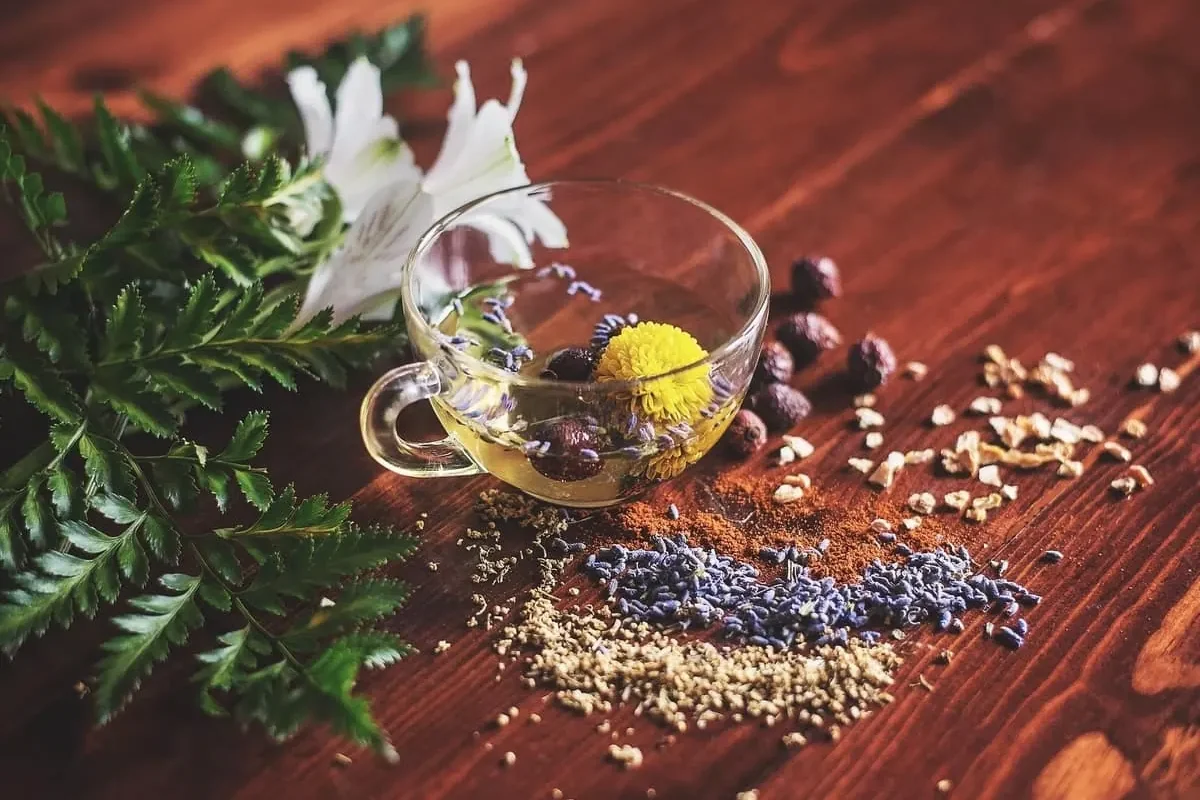 Taza de té con hierbas, especias y flores para preparar blends caseros