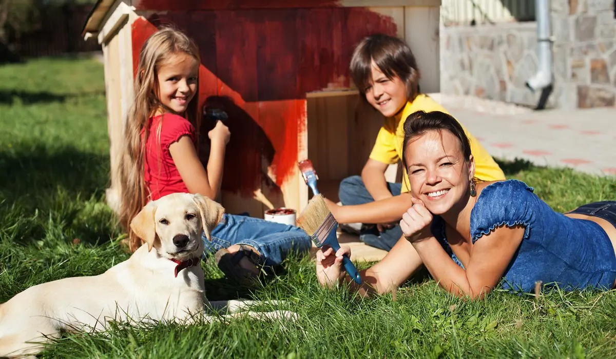 Como hacer una cucha para perro