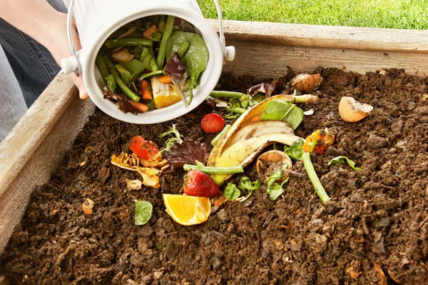 Restos de frutas y verduras siendo volcados sobre una compostera casera en un huerto doméstico.