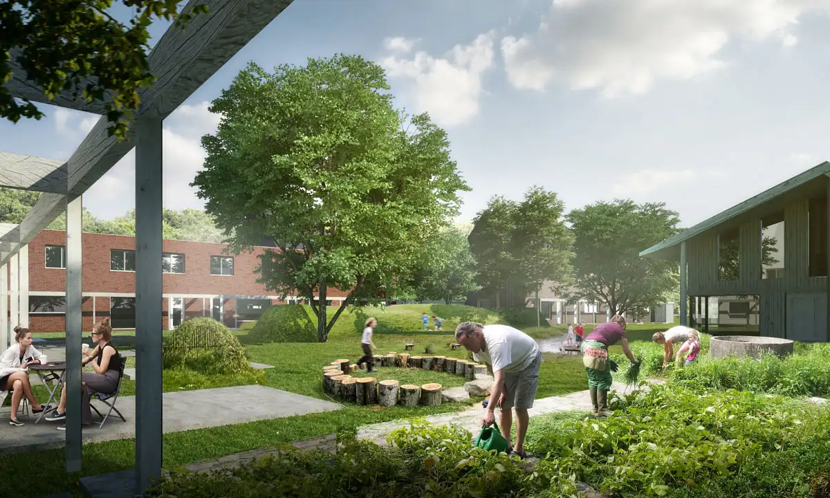 cohousing ancianos