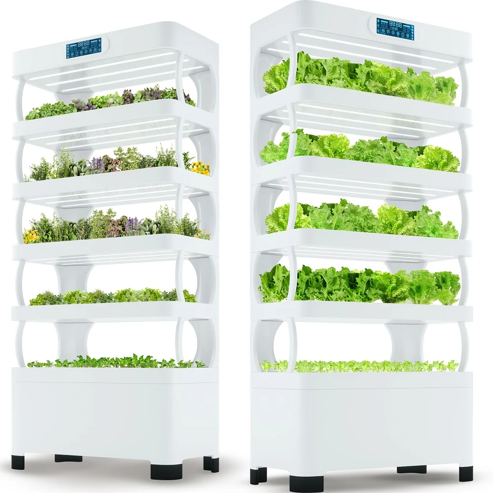 cultivar en hidropónia