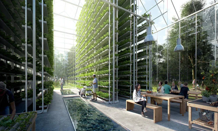 ecoaldea regen amsterdan 7