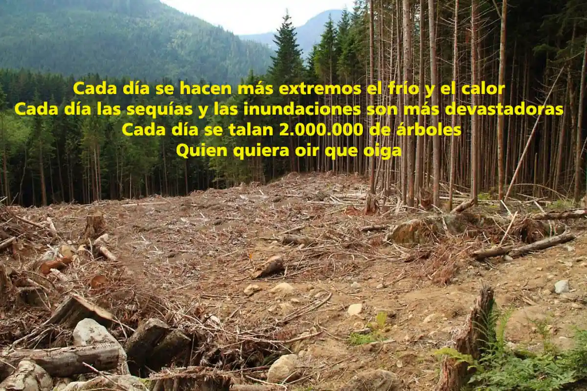 ecologia