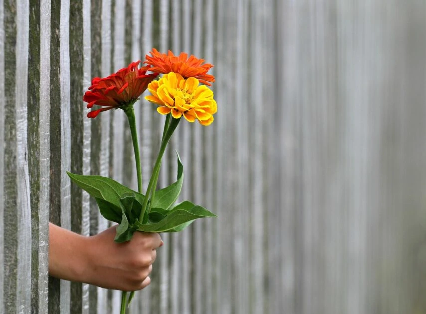 frases para regalar flores