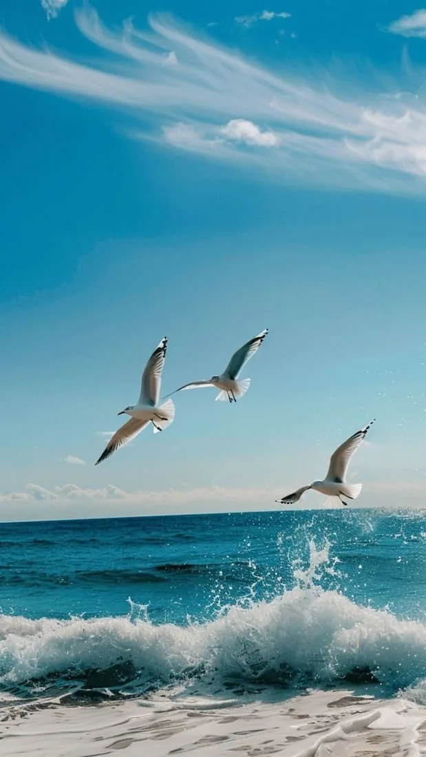 Gaviotas sobre el mar