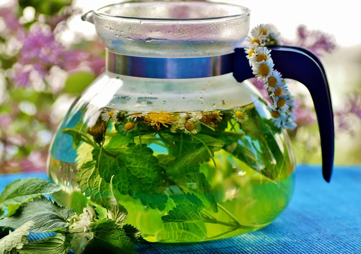 té de ruda