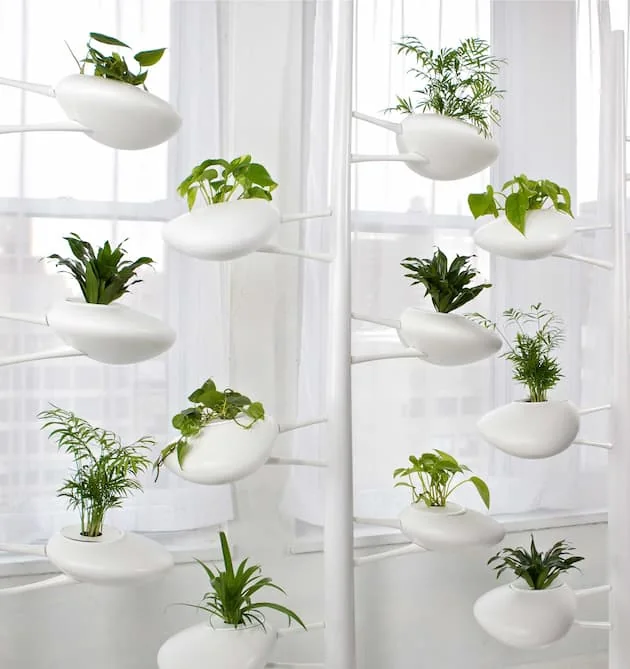  hidroponia casera productos