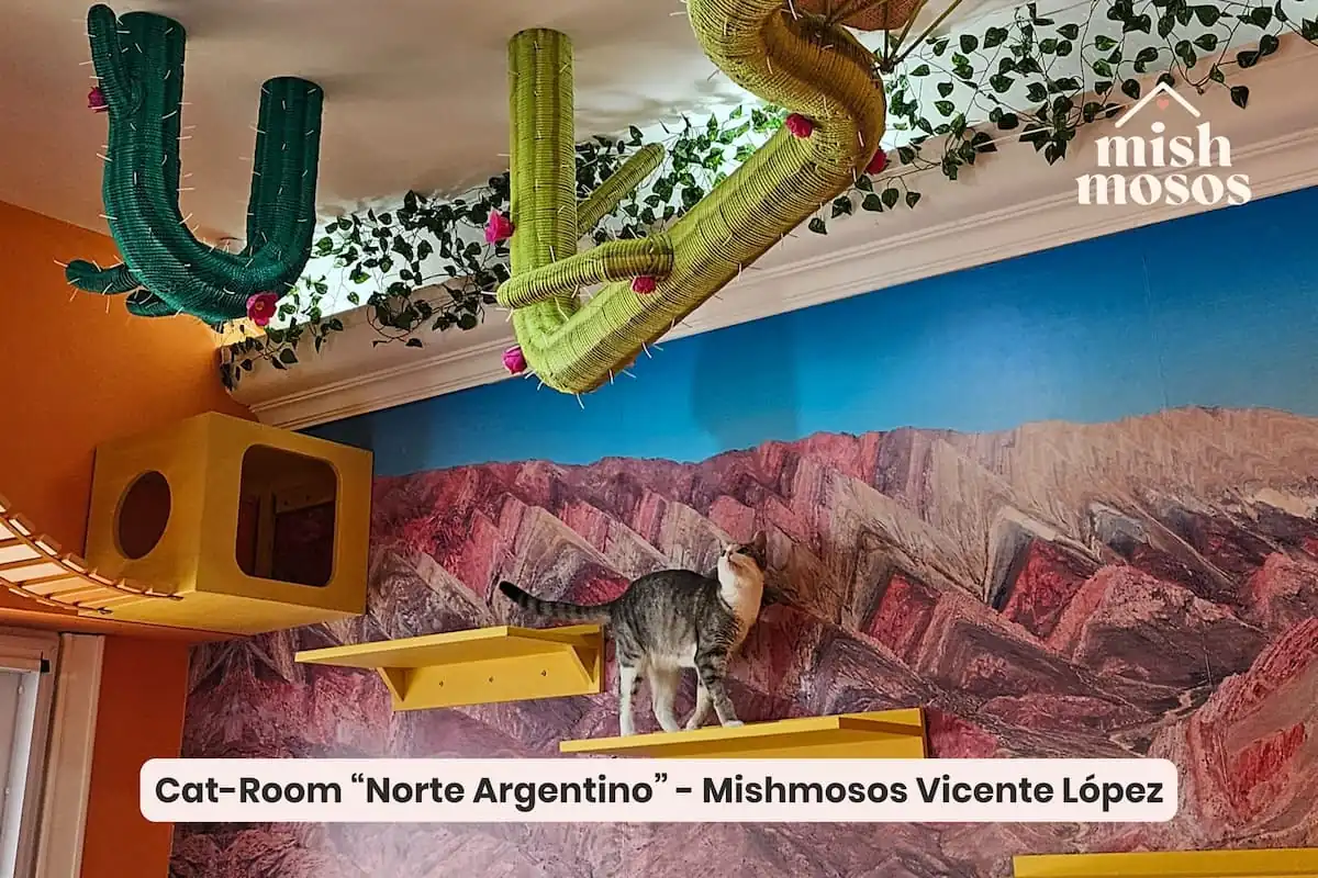 mejor hotel para gatos