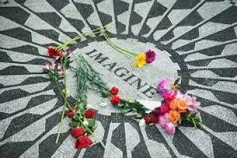 imagine_opt