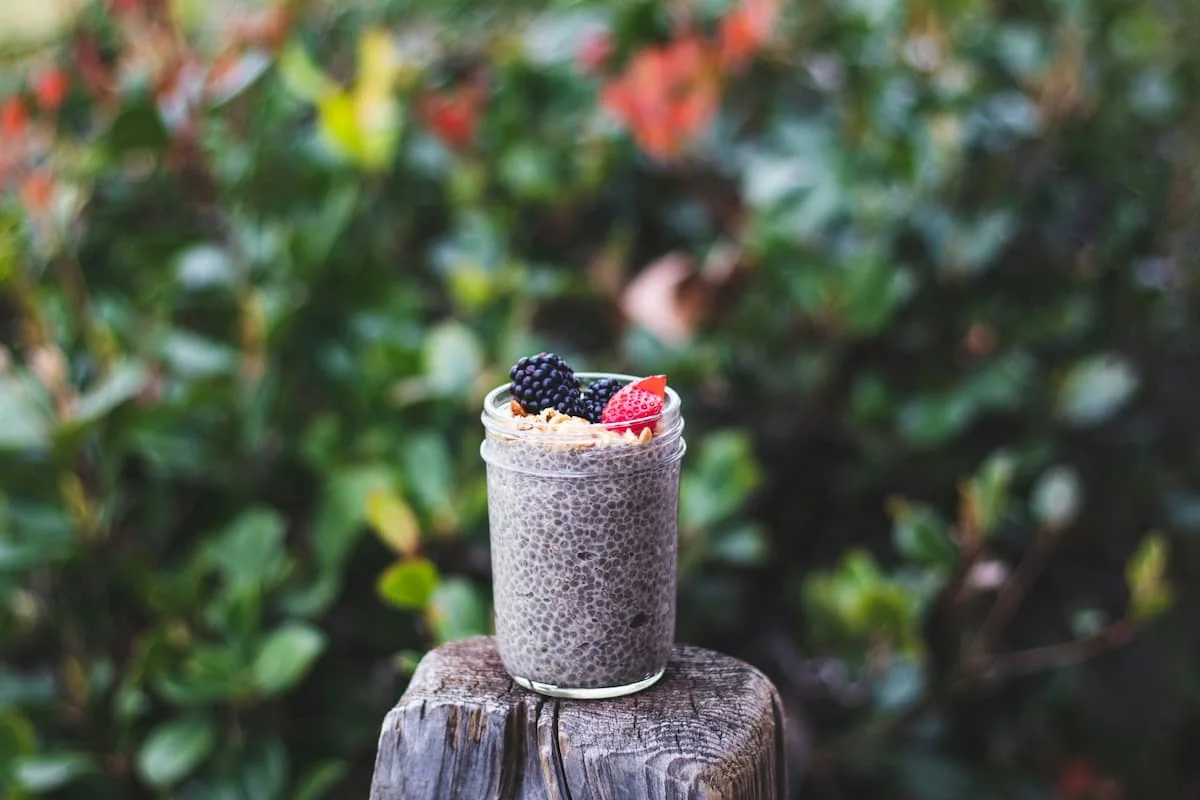 recetas con chia