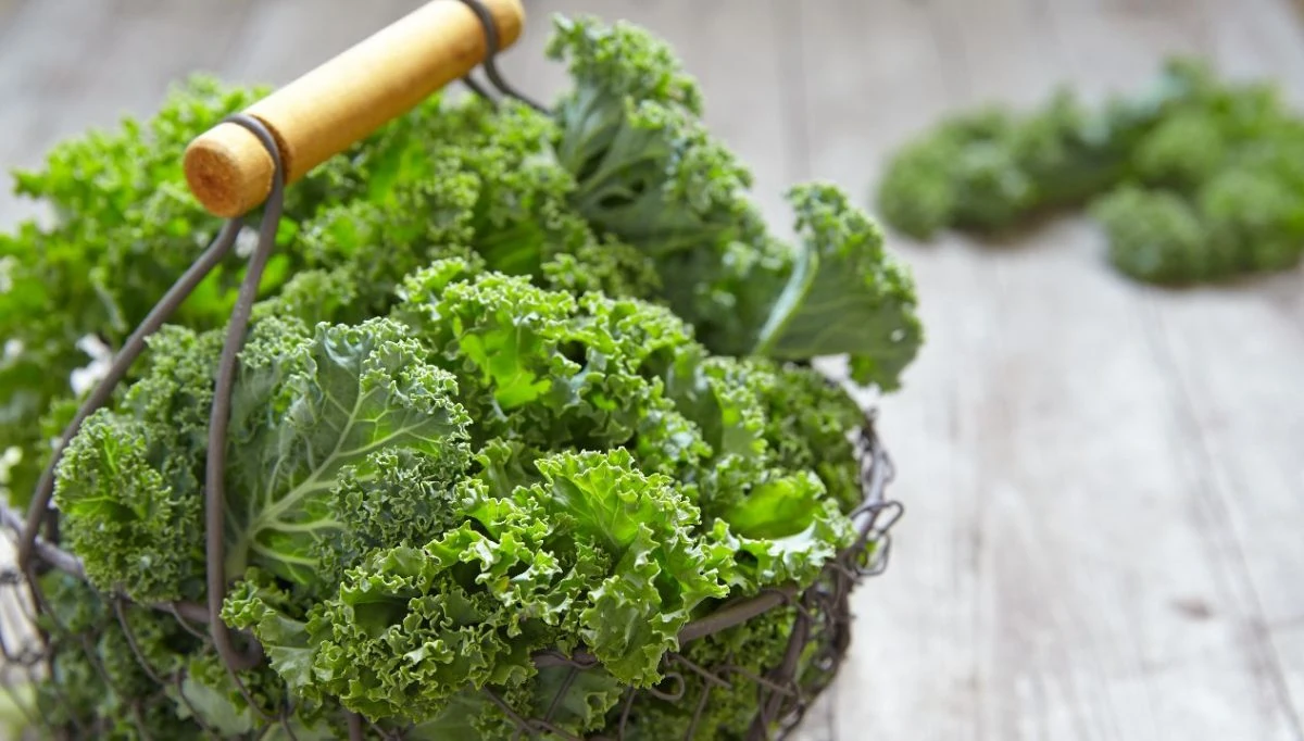 3 recetas con kale