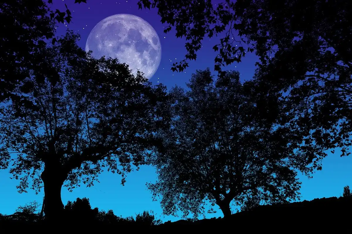 luna llena en leo 2025