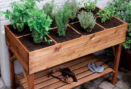 como hacer un jardin vertical
