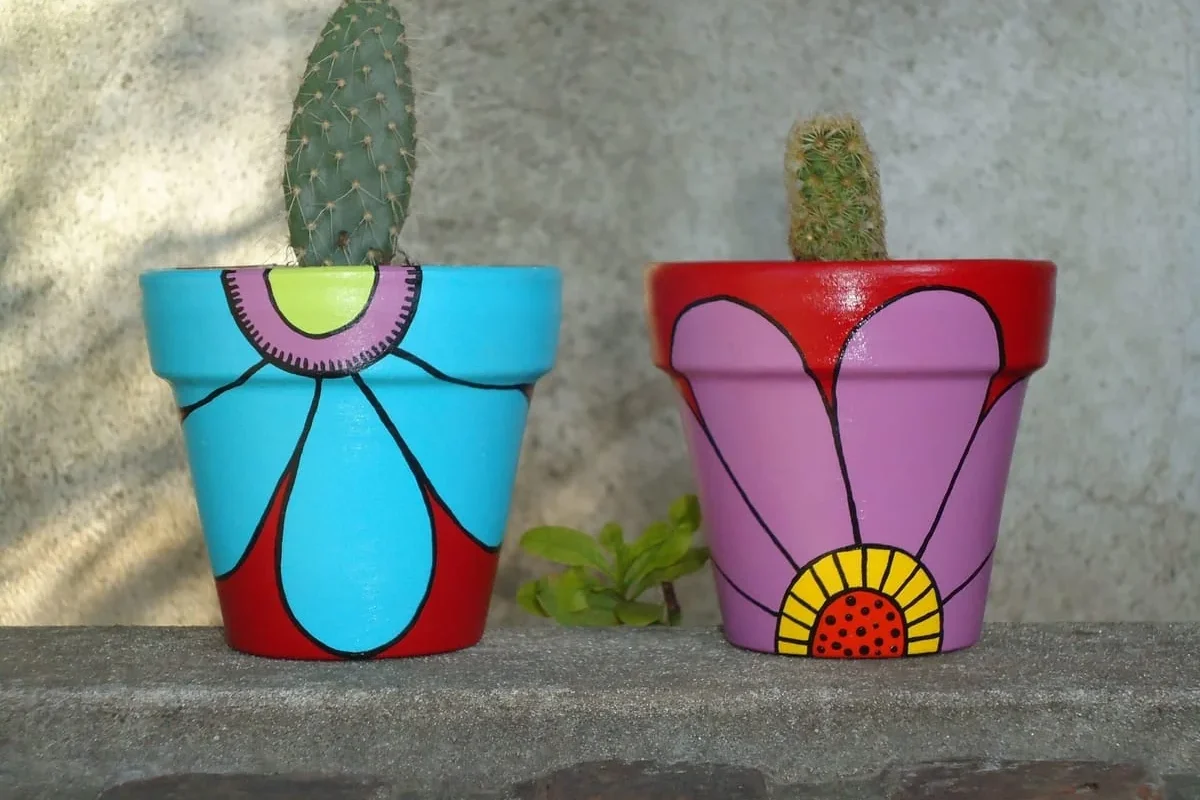 macetas para cactus