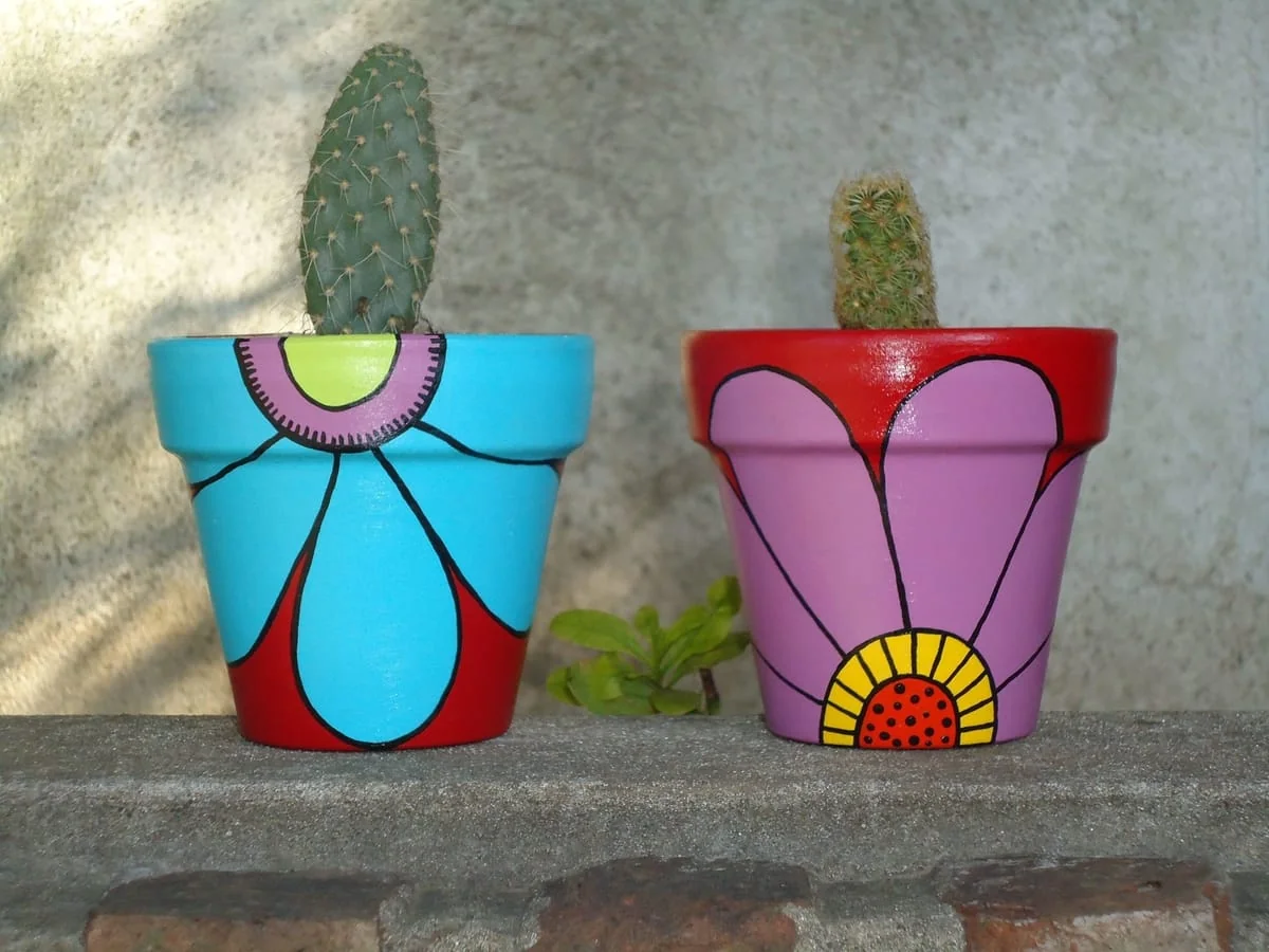 macetas para cactus