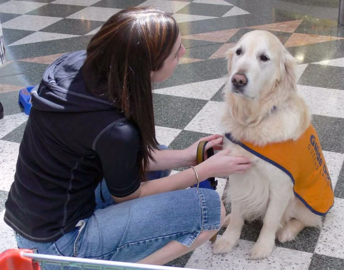 veterinario virtual
