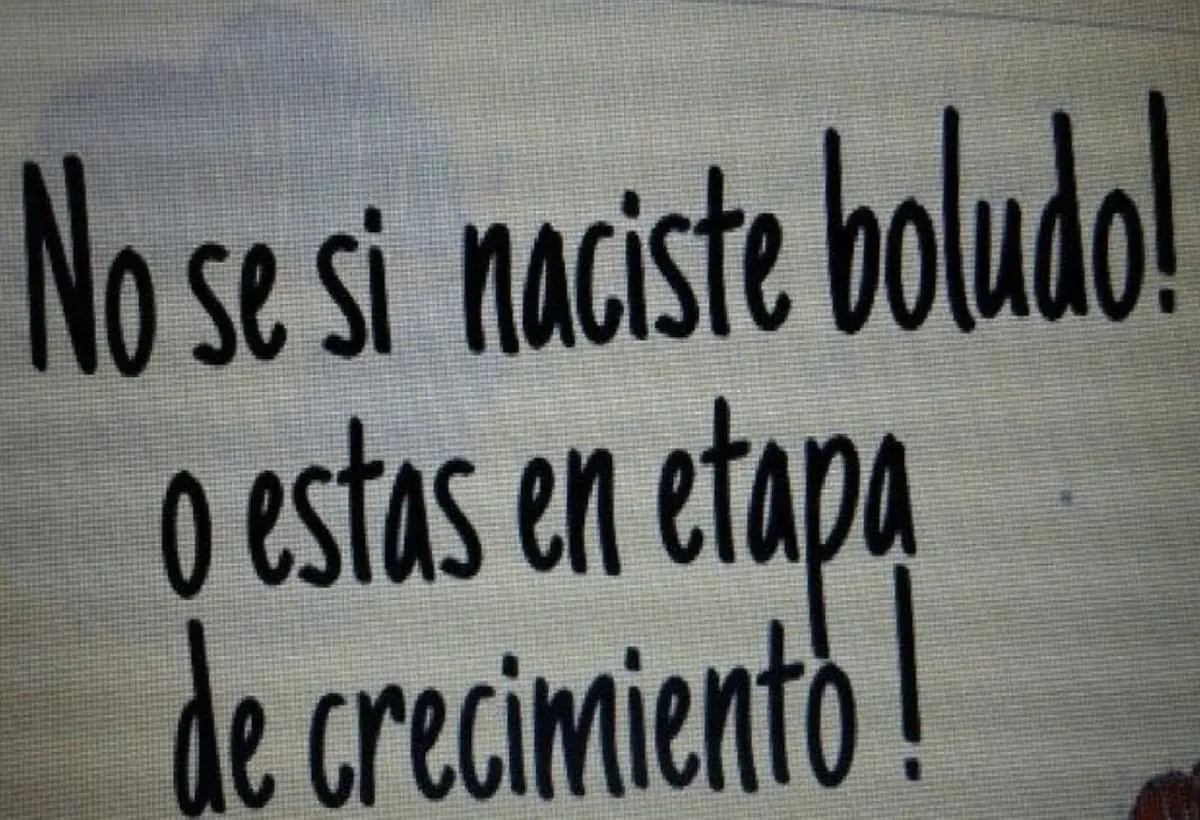 como usar la palabra boludo