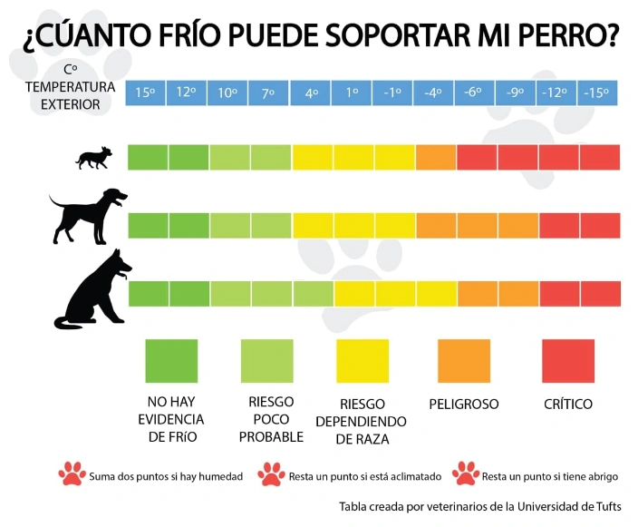 que temperatura soporta mi perro