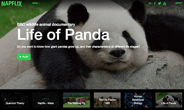 napflix-panda_opt