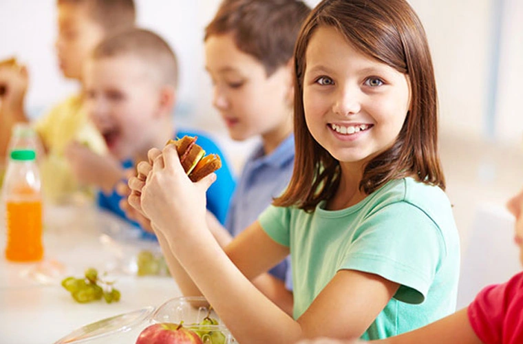 nutricion y cerebro